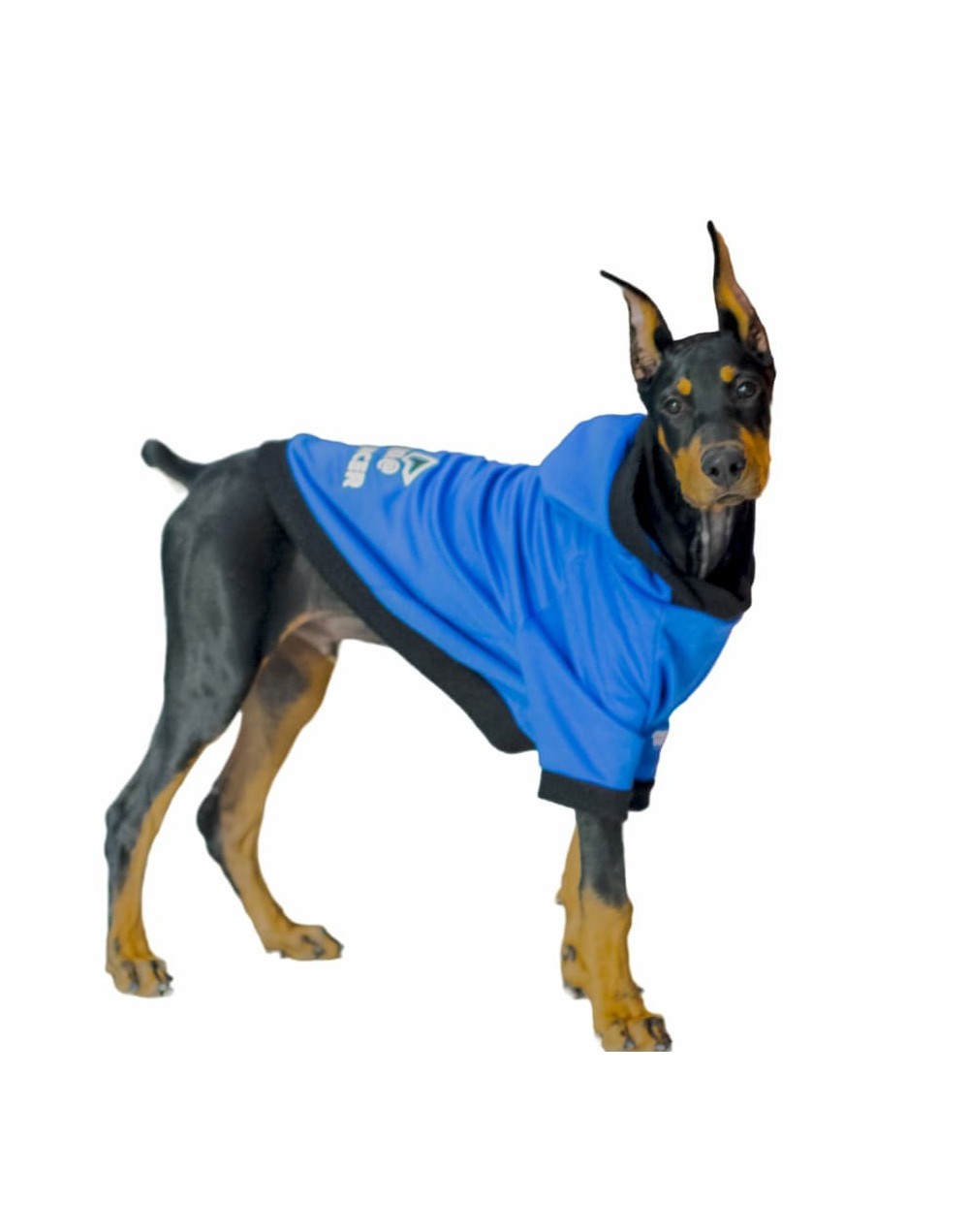 Buzo para perro influencer-azul rey