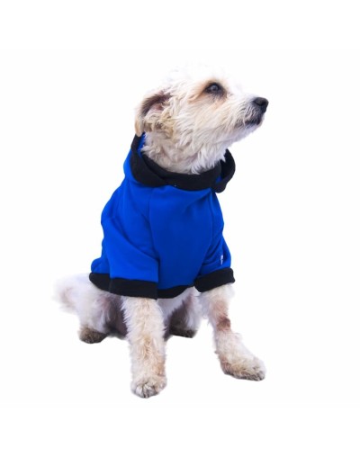 Buzo para perro influencer-azul rey