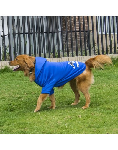 Buzo para perro influencer-azul rey