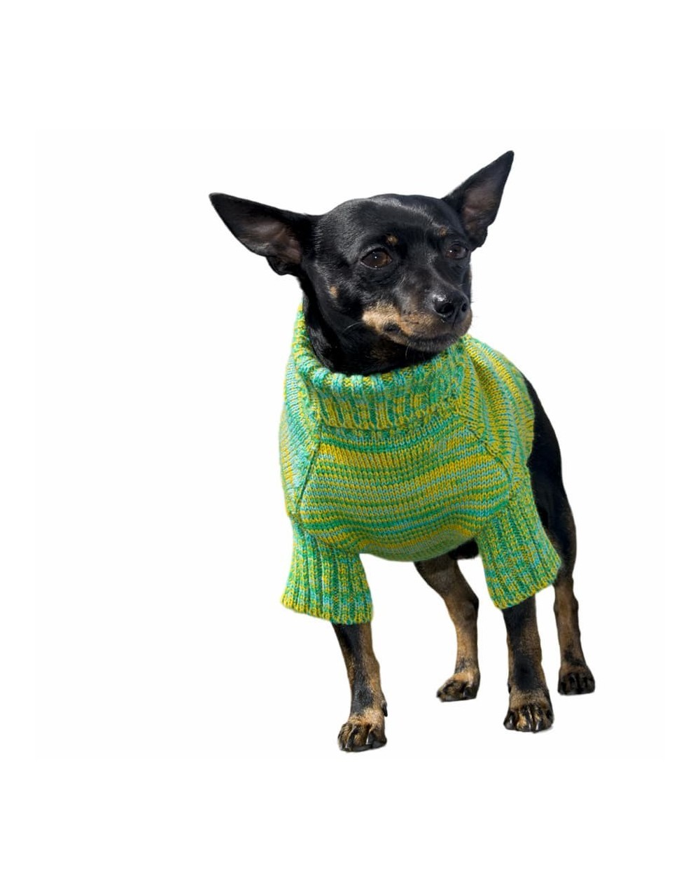 Sueteres para perritos-verde-11d