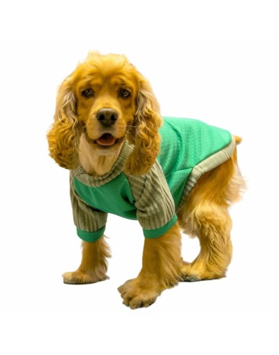 Buzo para perro winter-verde