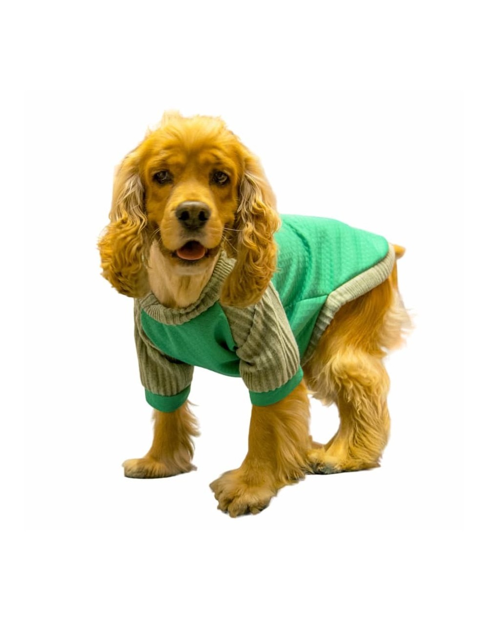 Buzo para perro winter-verde
