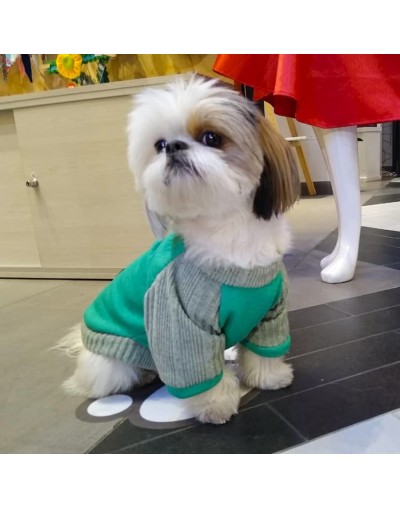 Buzo para perro winter-verde