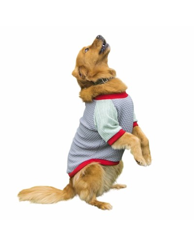 Buzo para perros winter-gris