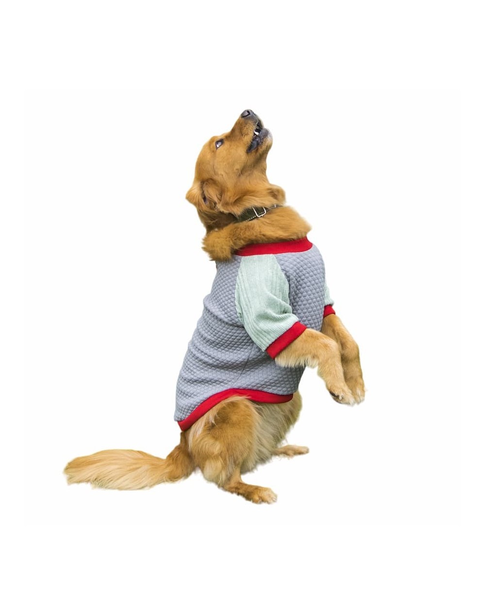 Buzo para perros winter-gris