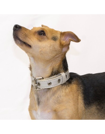 Collar para perro en cuero autentico