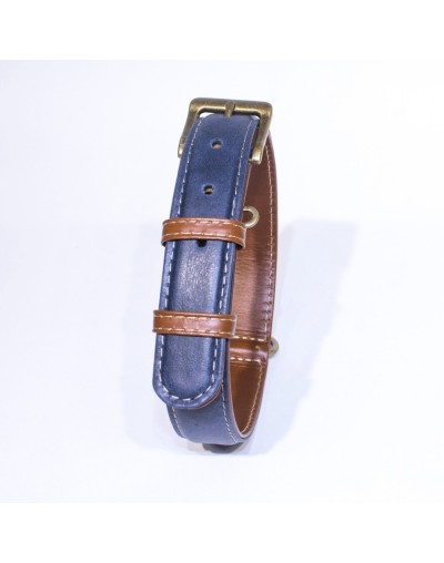 Collar para perro classic