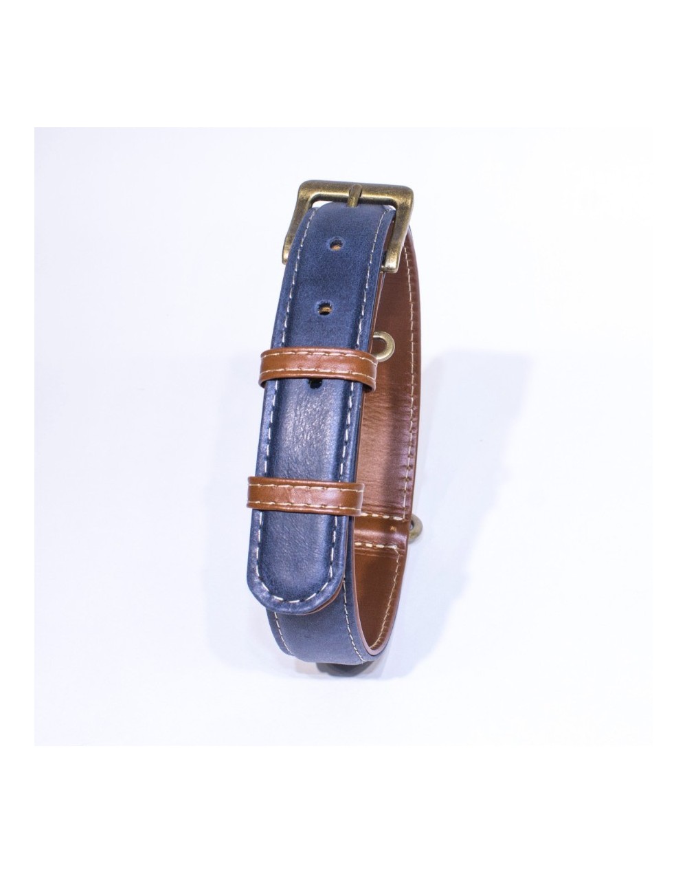Collar para perro classic