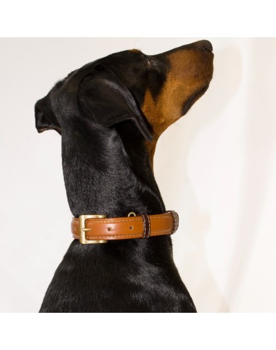 Collar para perro classic