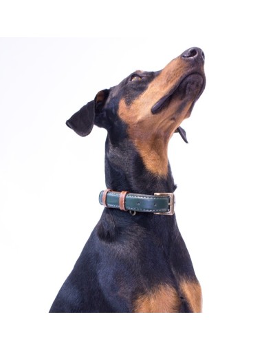 Collar para perro classic