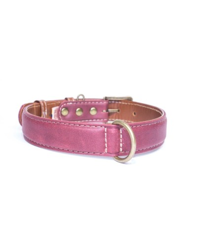 Collar para perro classic