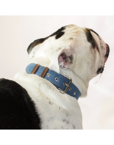 Collar para perro denim