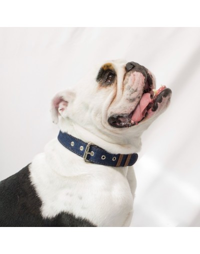 Collar para perro denim