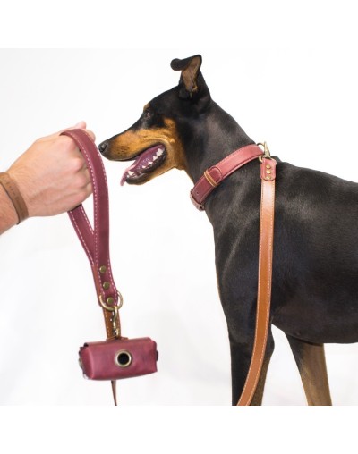 Combo collar classic