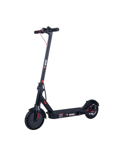 Ecoride pro 350w