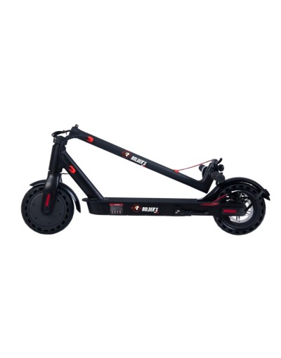 Ecoride pro 350w
