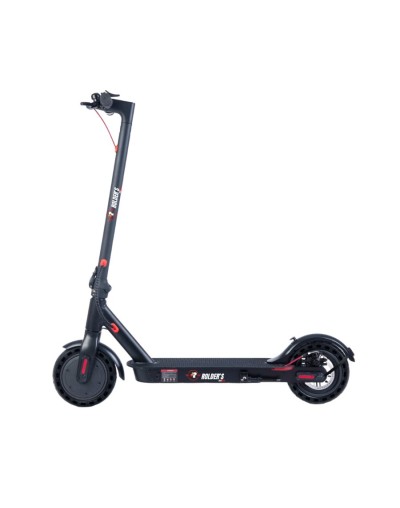 Ecoride pro 350w