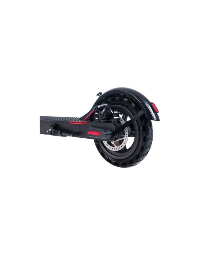 Ecoride pro 350w
