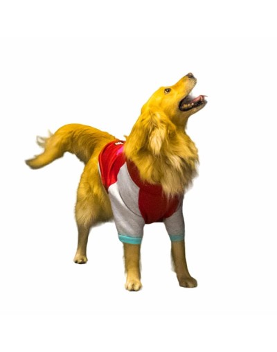 Buzo para perro play vino tinto