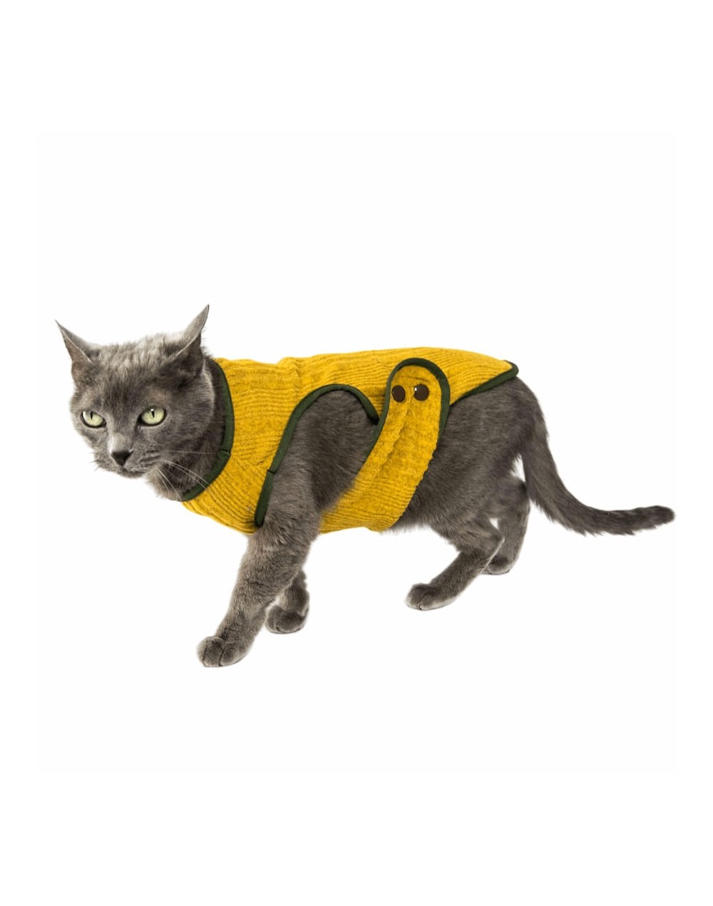 Chaleco tejido para gato -michin amarillo