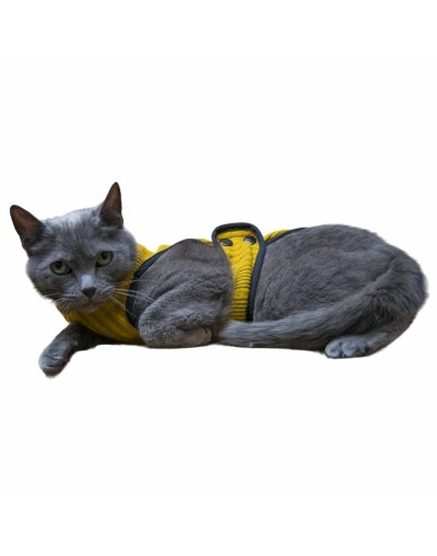Chaleco tejido para gato -michin amarillo