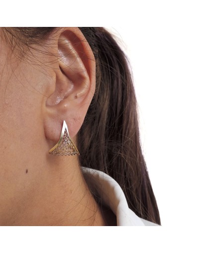 Aretes medianos Pato