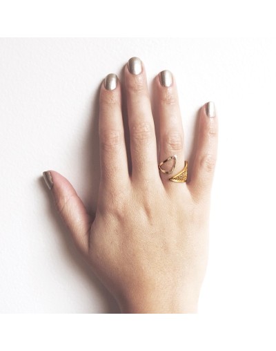 Anillo Loro