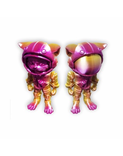Gatonauta
