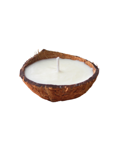 Vela cocolandia