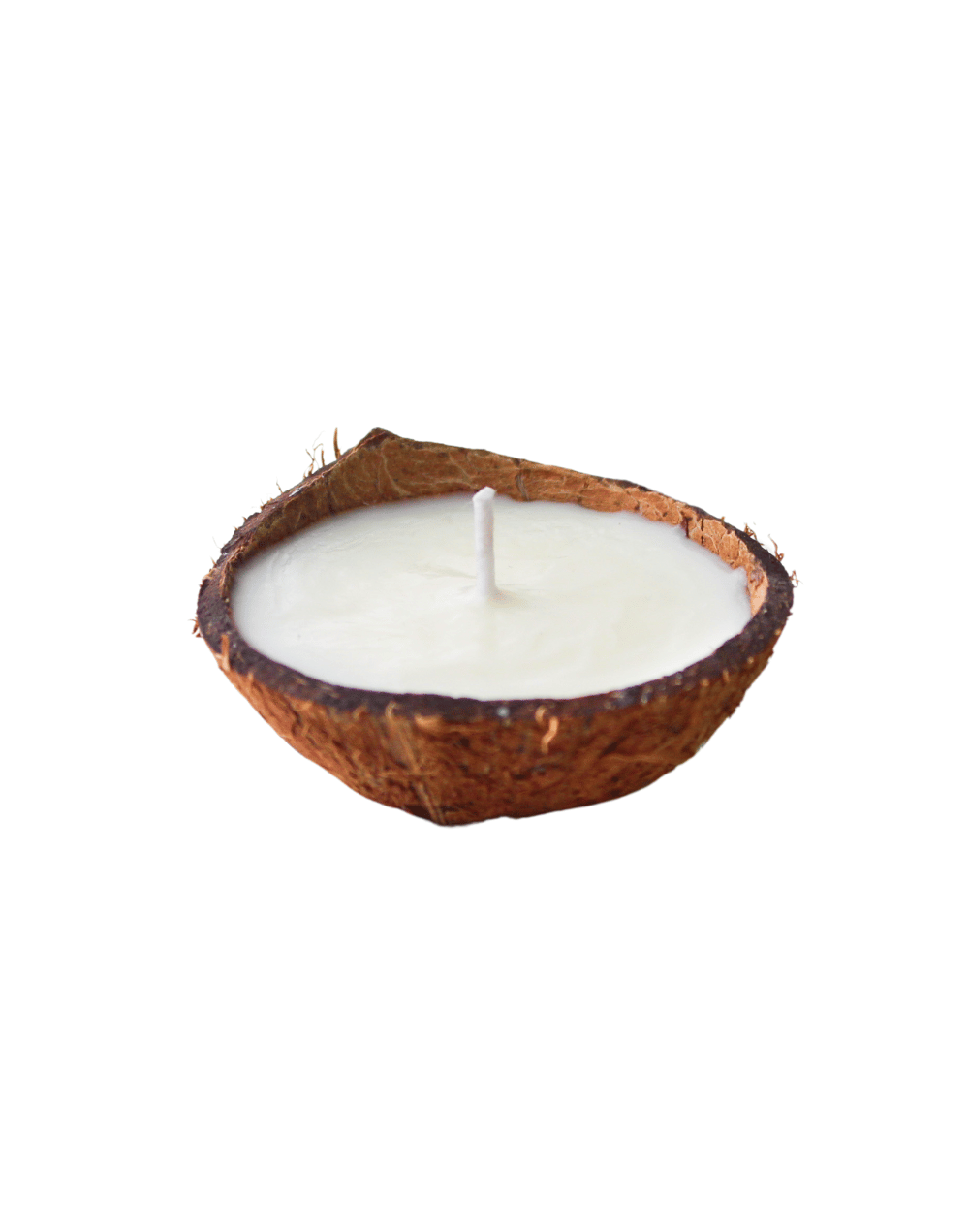 Vela cocolandia