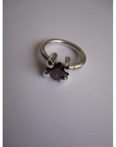 Anillo 120