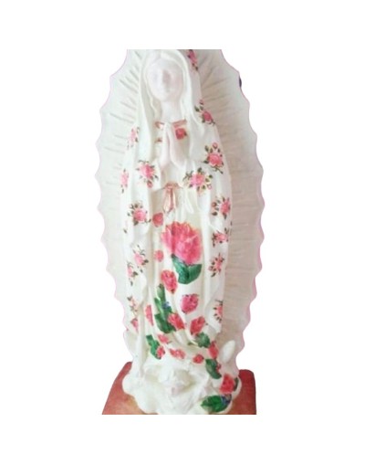 Virgen de gaudalupe