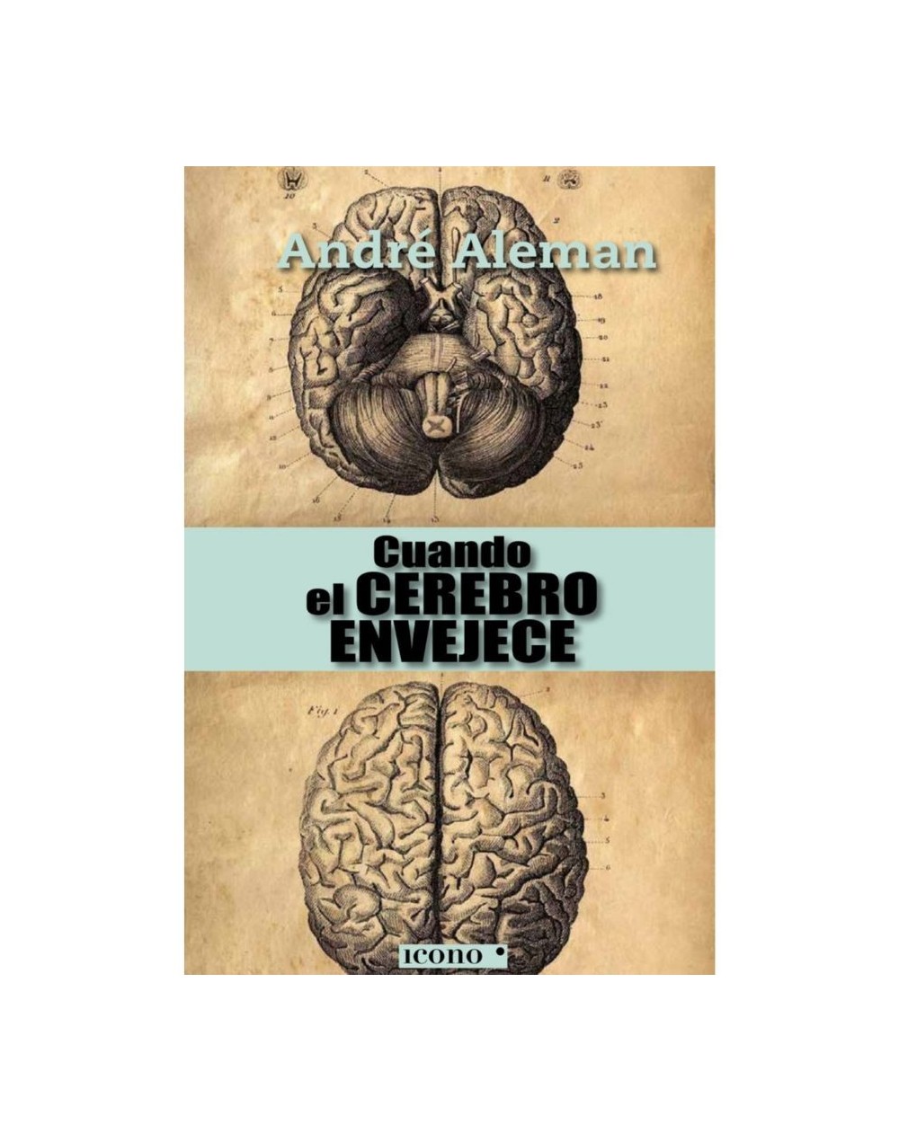Cuando el cerebro envejece
