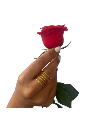 Anillo cinco aros