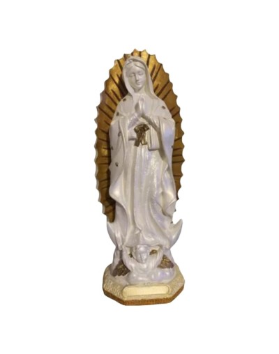 Virgen rosa mistica