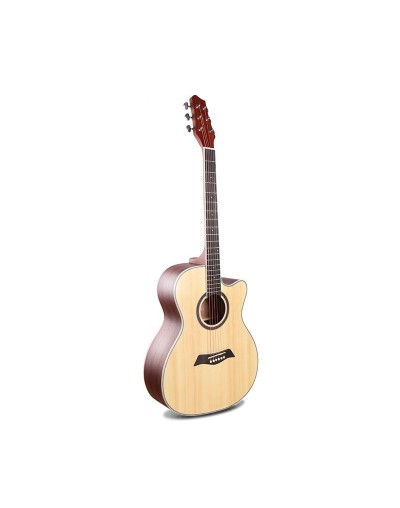 Guitarra Electroacustica Ref OL AC 401