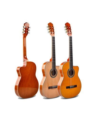 Guitarra Electroacusticatipo clasico REF OL AC 33