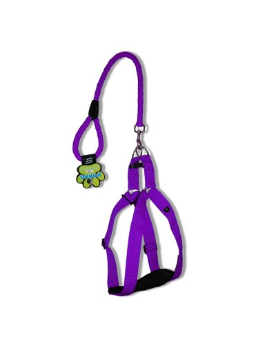 Arnés  1 1/2" + correa 60 cms razas grandes