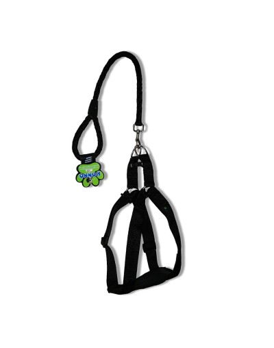 Arnés  1 1/2" + correa 60 cms razas grandes