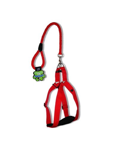 Arnés  1 1/2" + correa 60 cms razas grandes