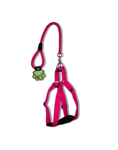 Arnés  1 1/2" + correa 60 cms razas grandes