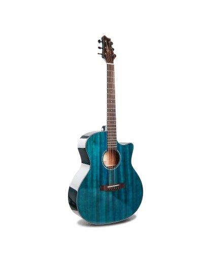 Guitarra Electroacustica REF OL AC D10