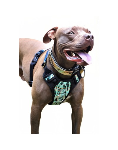 Pechera estampada talla l (labrador, pastor aleman entre otros)