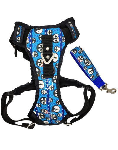 Pechera talla m estampada (razas mediana tipo schnauzer cocker)