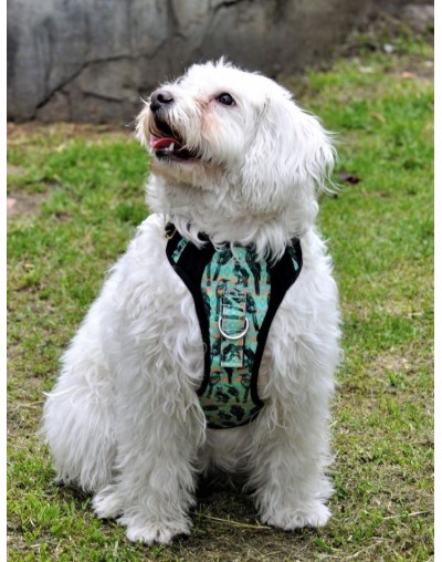 Pechera talla m estampada (razas mediana tipo schnauzer cocker)