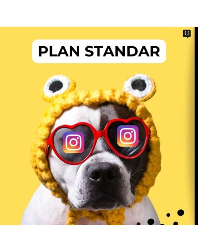 Planes de contenido - plan standar