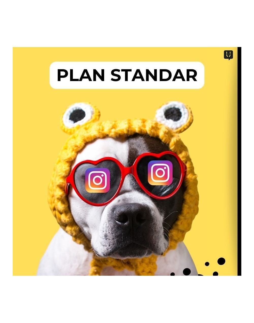 Planes de contenido - plan standar