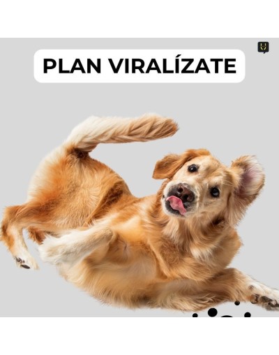 Planes de contenido - plan viralízate