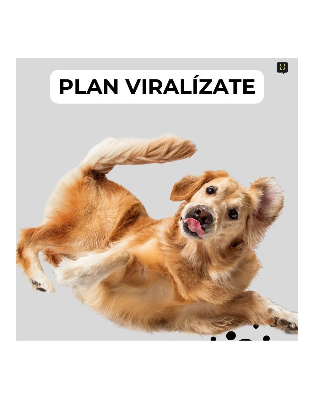 Planes de contenido - plan viralízate