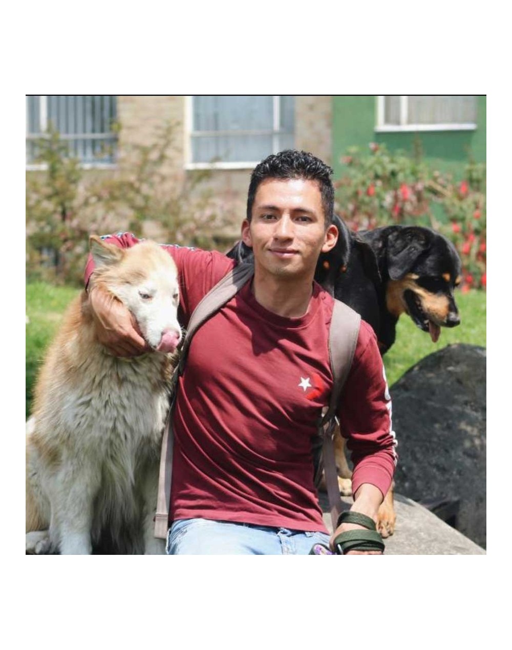 Asesoría en comportamiento canino